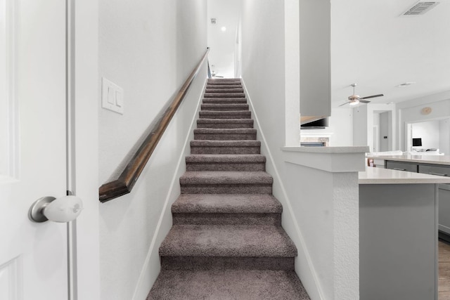 134 Soft Elm Dr, Buda, TX 78610 - stairs featuring ceiling fan, carpet flooring, and baseboards