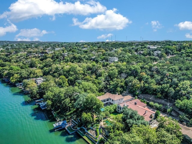 1614 Bruton Springs Rd, Austin, TX 78733 - bird's eye view of a nearby body of water and a heavily wooded area