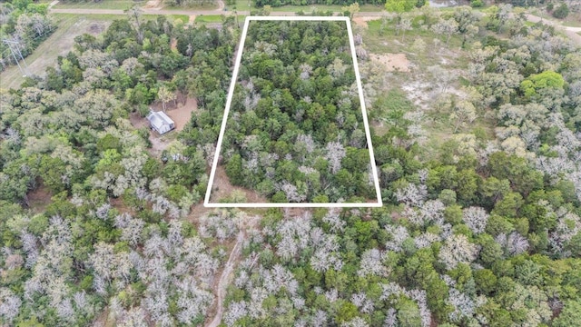 TBD Slo John Rd, Flatonia, TX 78941 - photo 3