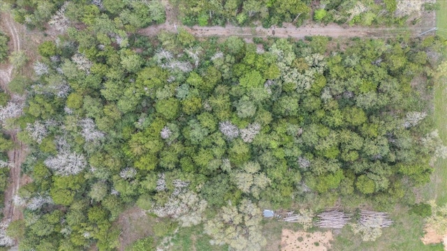 TBD Slo John Rd, Flatonia, TX 78941 - photo 4