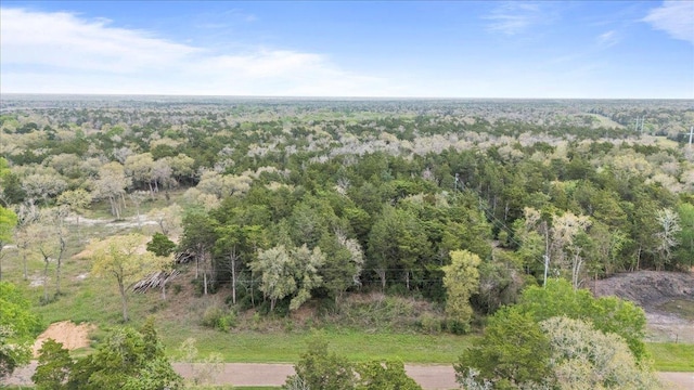 TBD Slo John Rd, Flatonia, TX 78941 - photo 8