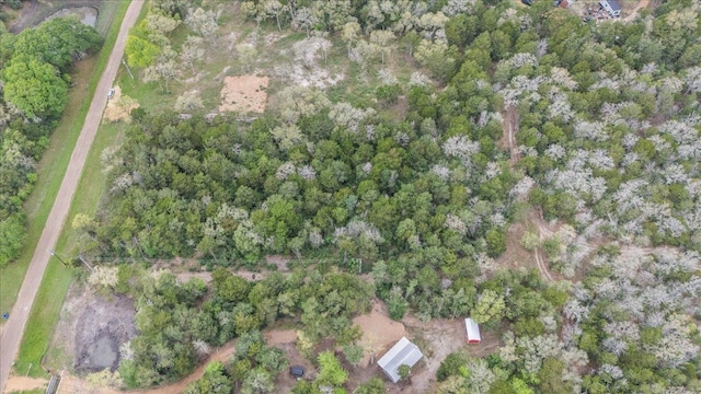 TBD Slo John Rd, Flatonia, TX 78941 - photo 10