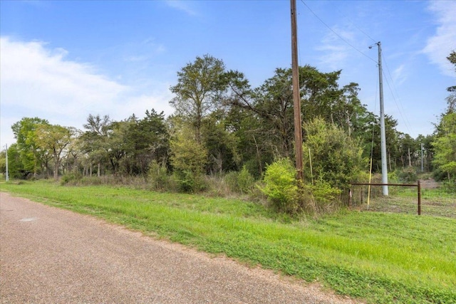 TBD Slo John Rd, Flatonia, TX 78941 - photo 12