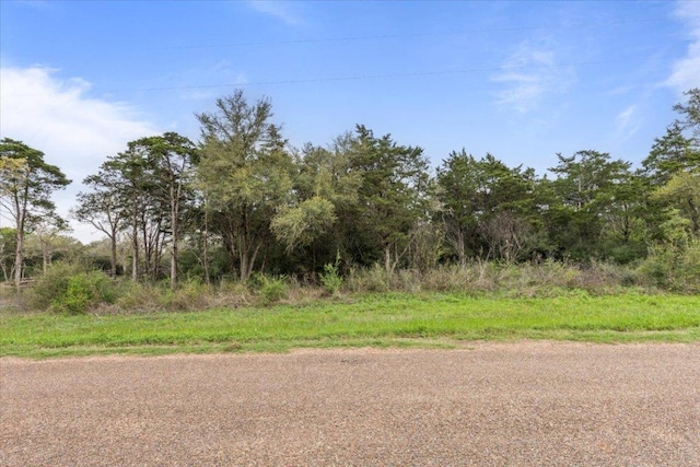 TBD Slo John Rd, Flatonia, TX 78941 - photo 13
