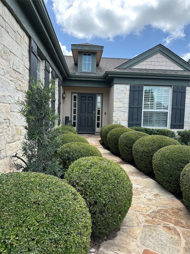 108 Silver Bonnet Dr, Georgetown, TX 78633 - view of exterior entry with stone siding