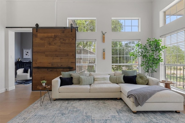 611 Ladin Ln, Lakeway, TX 78734 - living area featuring wood finished floors and a high ceiling