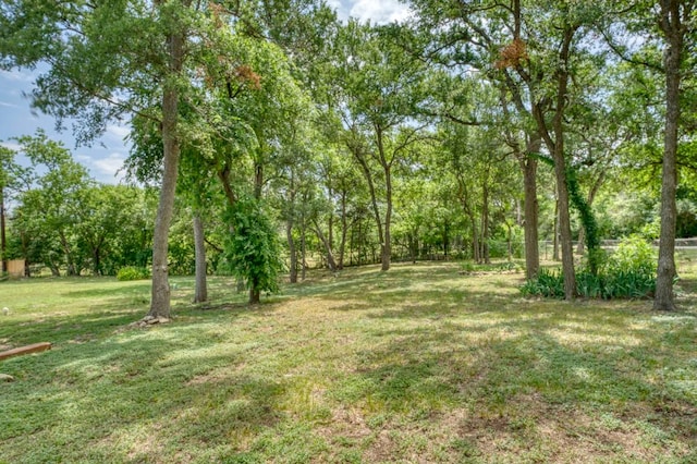 12635 Live Oak Ln, Buda, TX 78610 - view of grassy yard