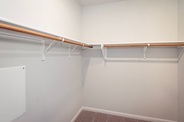 205 Escape Way, Jarrell, TX 76537 - walk in closet with carpet flooring