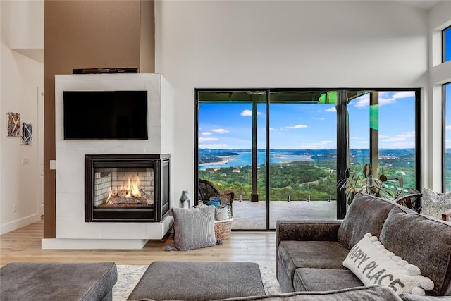8612 Tip Top Dr Unit 2, Jonestown, TX 78645 - living room with a high ceiling, wood finished floors, and a glass covered fireplace