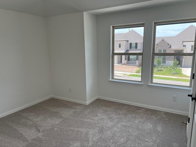 920 Old Garden Rd, Leander, TX 78641 - photo 10