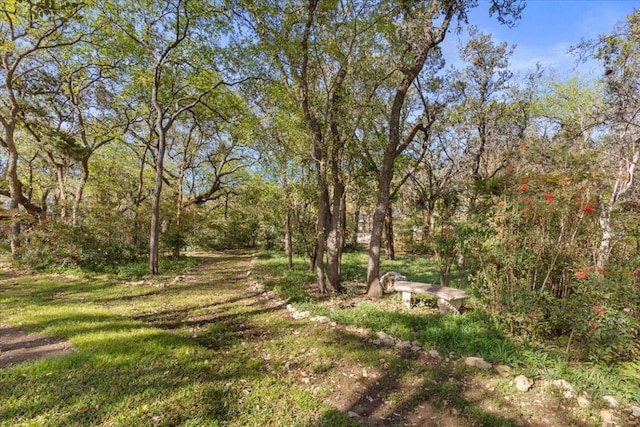 3106 Maywood Ave, Austin, TX 78703 - view of grassy yard featuring a wooded view