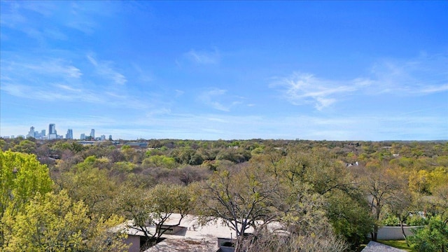3106 Maywood Ave, Austin, TX 78703 - bird's eye view of a forest