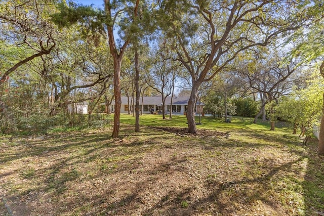 3106 Maywood Ave, Austin, TX 78703 - view of green lawn
