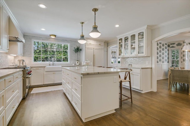 1710 Mccall Rd, Austin, TX 78703 - kitchen featuring arched walkways, high end appliances, crown molding, backsplash, and dark wood-type flooring