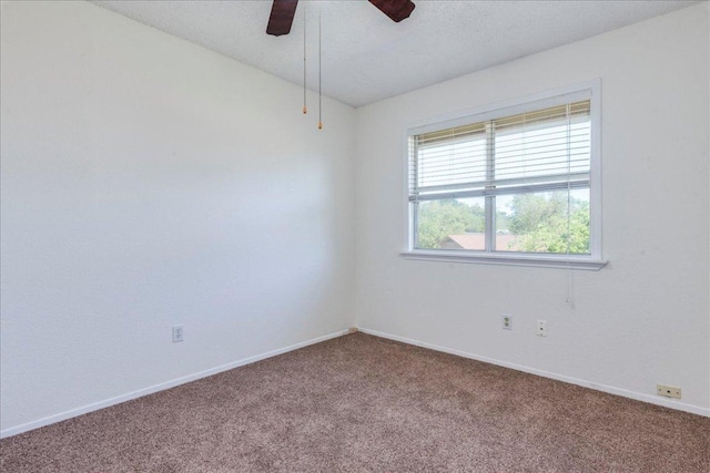 4508 Clarno Dr, Austin, TX 78749 - photo 17