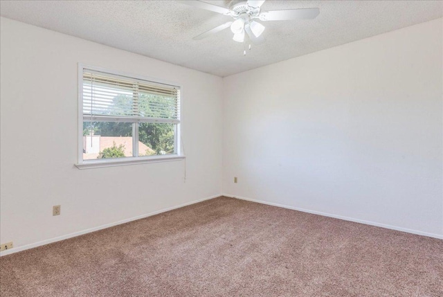 4508 Clarno Dr, Austin, TX 78749 - photo 19
