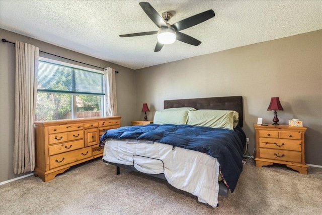 4508 Clarno Dr, Austin, TX 78749 - photo 13