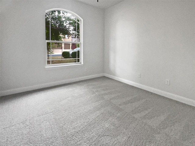1985 Canyon Sage Path, Round Rock, TX 78665 - spare room featuring carpet floors and baseboards