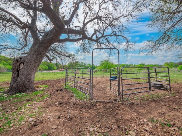 1961 Fm 1670, Belton, TX 76513 - photo 31