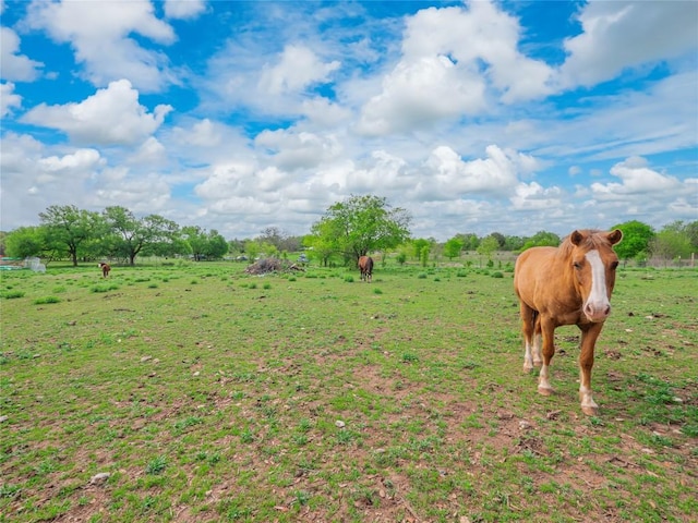 1961 Fm 1670, Belton, TX 76513 - photo 32