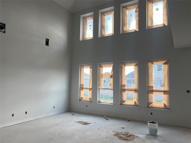 925 Old Garden Rd, Leander, TX 78641 - spare room with plenty of natural light, concrete flooring, and a high ceiling