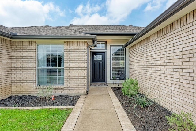 602 Totem Trl, Harker Heights, TX 76548 - doorway to property featuring brick siding and roof with shingles