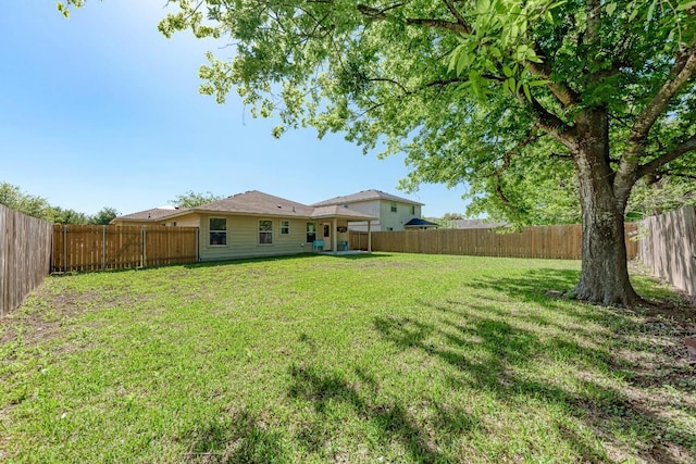 117 Easy St, Hutto, TX 78634 - view of yard