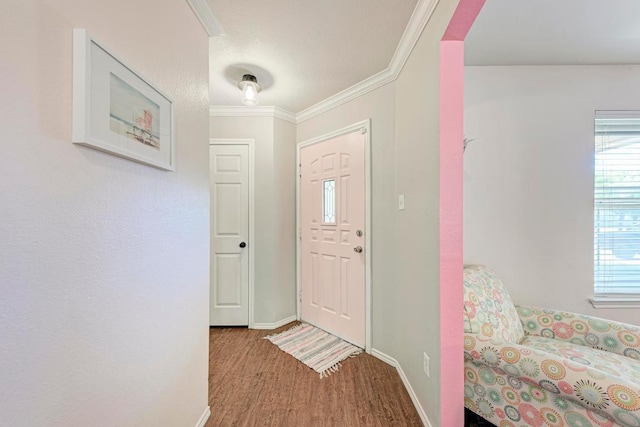 117 Easy St, Hutto, TX 78634 - foyer featuring baseboards, wood finished floors, and ornamental molding