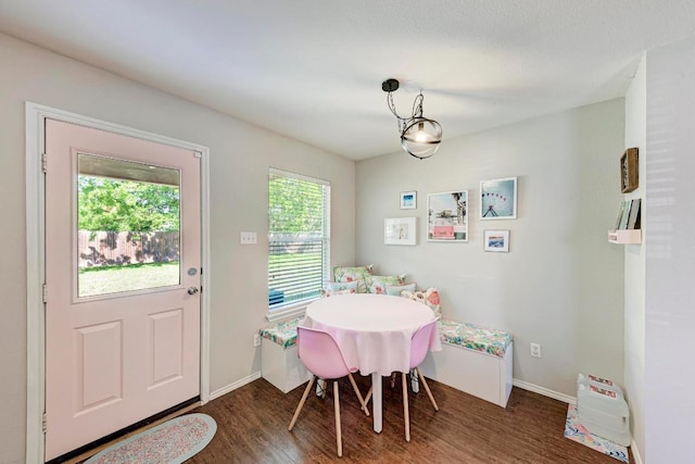117 Easy St, Hutto, TX 78634 - dining room featuring wood finished floors and baseboards