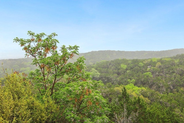 property view of mountains featuring a wooded view