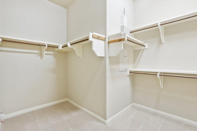spacious closet featuring light colored carpet