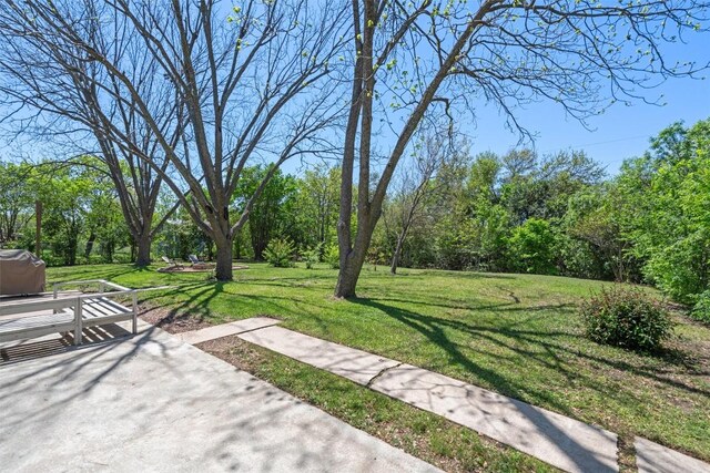 1604 Robb Ln, Round Rock, TX 78664 - view of yard