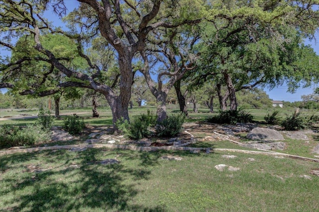 200 Matzig Cv, Buda, TX 78610 - view of green lawn