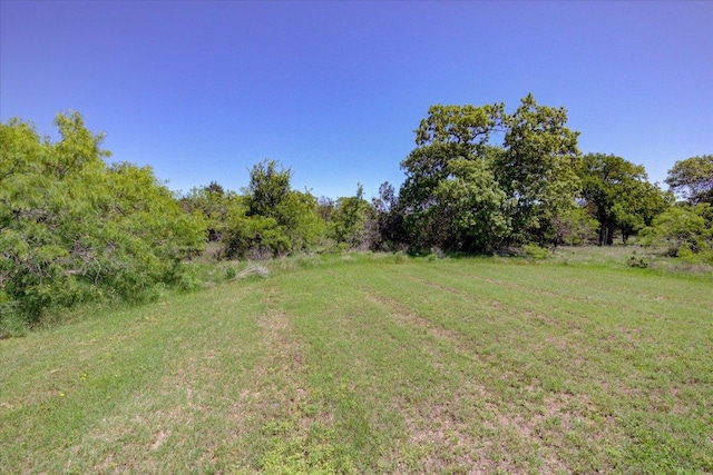 200 Matzig Cv, Buda, TX 78610 - view of green lawn