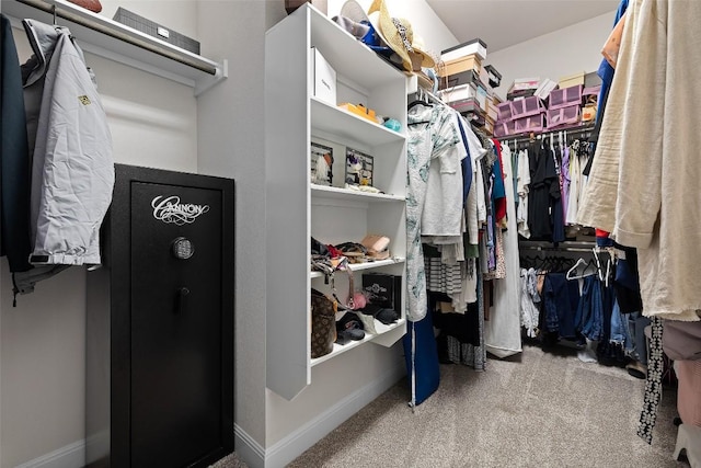 124 Adina Dr, Dripping Springs, TX 78620 - spacious closet with carpet flooring