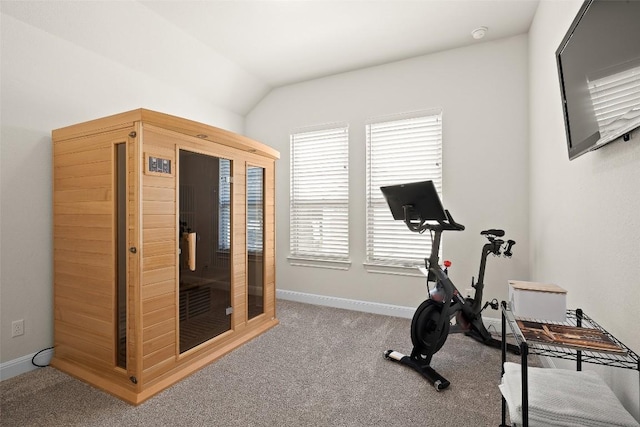 124 Adina Dr, Dripping Springs, TX 78620 - exercise room with baseboards, carpet floors, and lofted ceiling