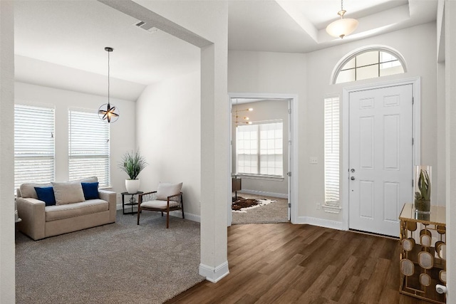 124 Adina Dr, Dripping Springs, TX 78620 - entrance foyer featuring plenty of natural light, dark wood finished floors, baseboards, and a tray ceiling