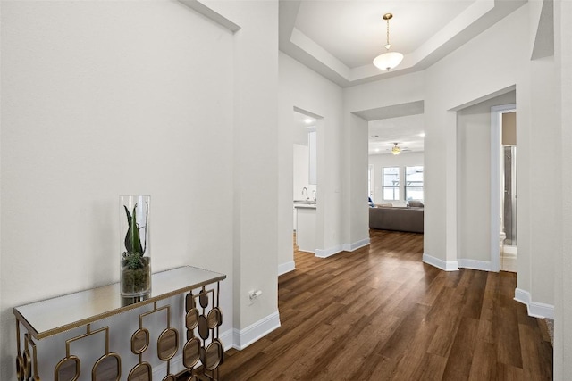 124 Adina Dr, Dripping Springs, TX 78620 - corridor featuring baseboards, dark wood finished floors, a raised ceiling, and a sink