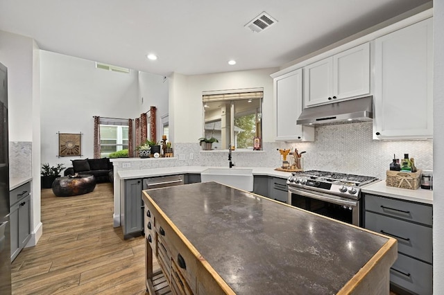kitchen with stainless steel gas stove, under cabinet range hood, a sink, gray cabinetry, and light wood-type flooring