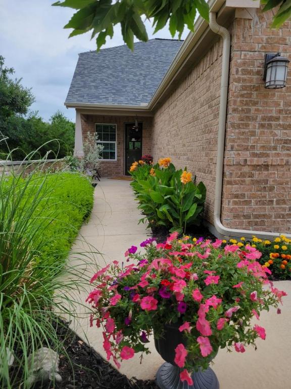 308 Hobby St, Georgetown, TX 78633 - doorway to property with brick siding and a shingled roof