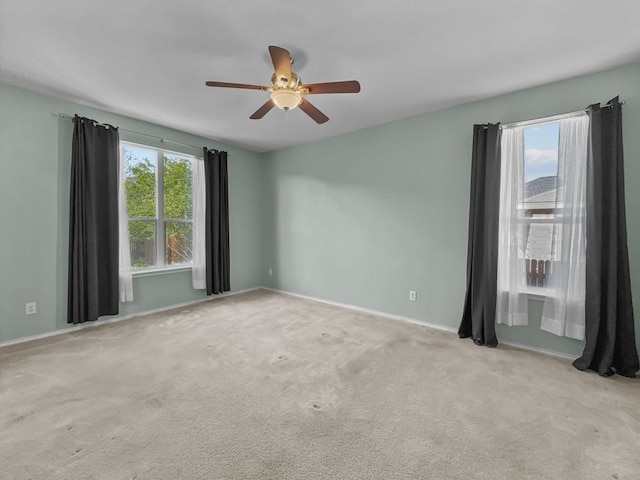 432 Sheepshank Dr, Georgetown, TX 78633 - photo 12