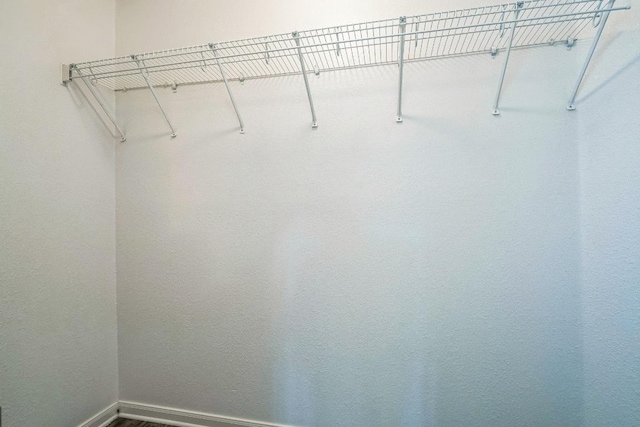 211 Warner Bnd, Hutto, TX 78634 - view of spacious closet