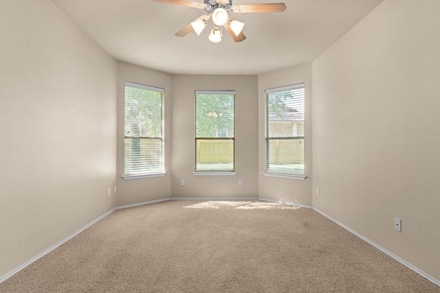 5405 English Oak Dr, Killeen, TX 76542 - spare room with a wealth of natural light, carpet, baseboards, and a ceiling fan