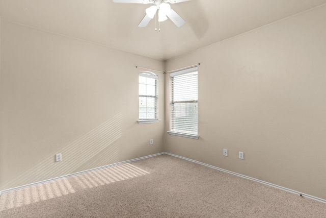 5405 English Oak Dr, Killeen, TX 76542 - spare room with baseboards, a ceiling fan, and carpet