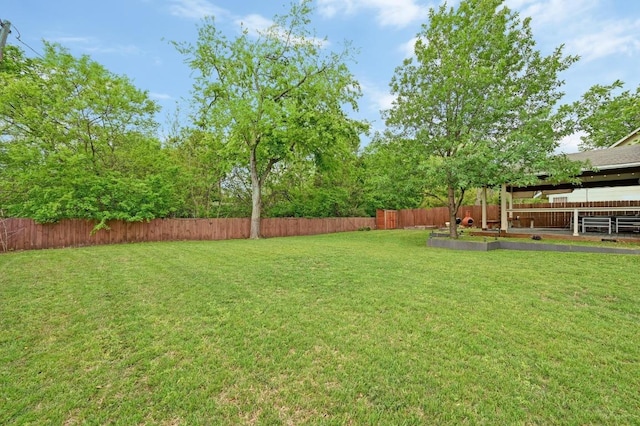 2301 Trafalgar Dr, Austin, TX 78723 - view of yard