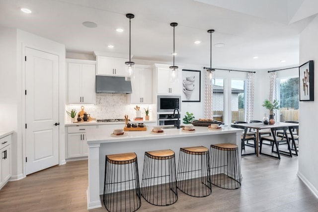 120 Amber Oak Ln, Georgetown, TX 78628 - kitchen featuring under cabinet range hood, stainless steel appliances, wood finished floors, tasteful backsplash, and light countertops