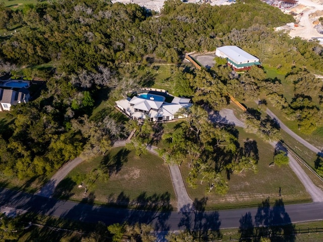 9909 Oliver Dr, Austin, TX 78736 - aerial overview of property's location with a pool