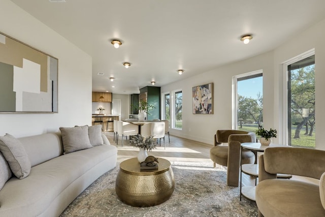 9909 Oliver Dr, Austin, TX 78736 - living room featuring light wood finished floors and baseboards