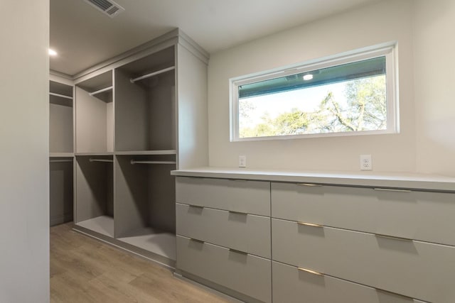 9909 Oliver Dr, Austin, TX 78736 - spacious closet with light wood-type flooring