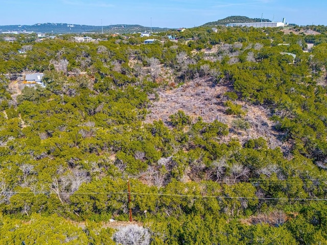 20606 Park Dr, Lago Vista, TX 78645 - photo 21